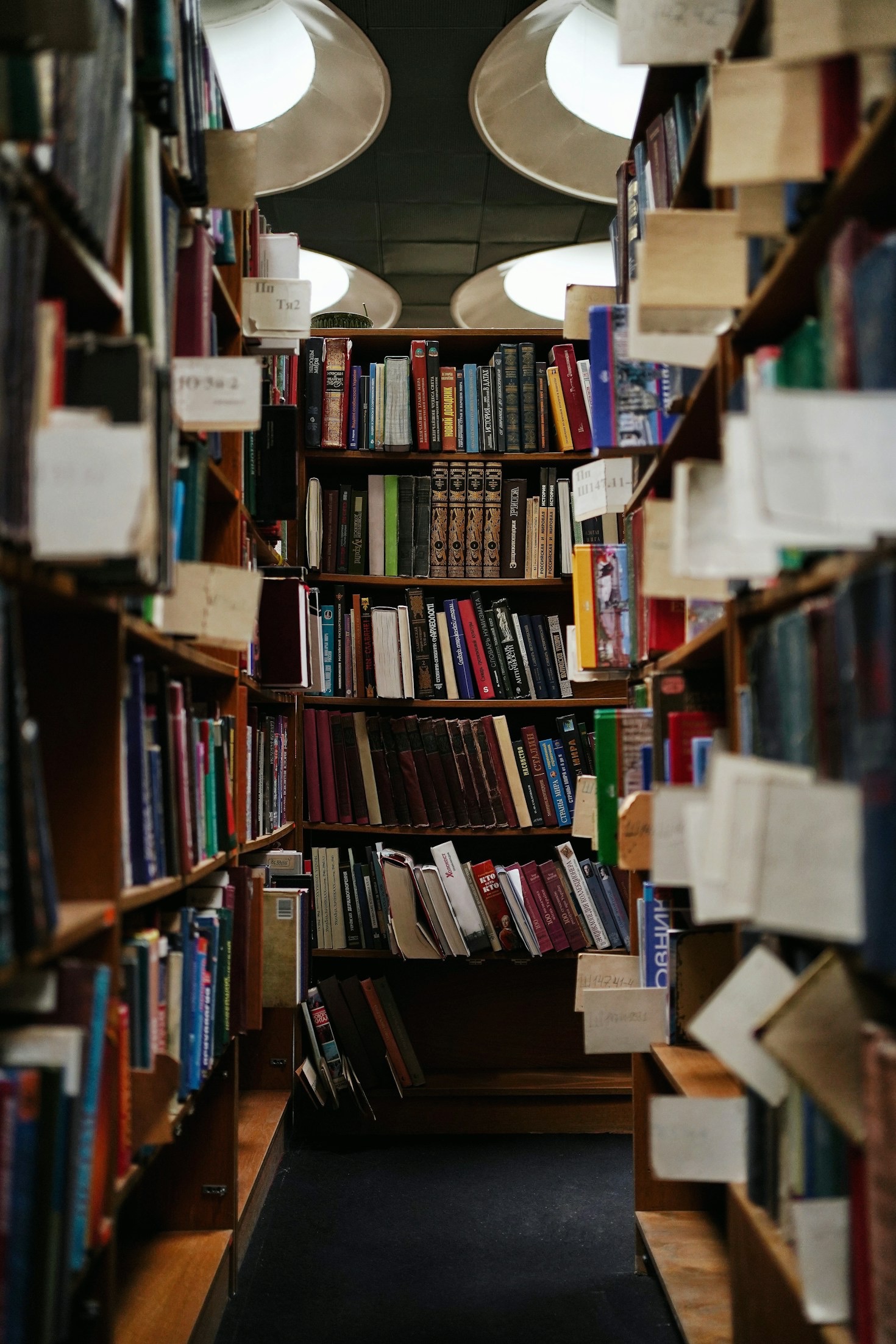 How to Spark a Love for Reading in Young Adventurers